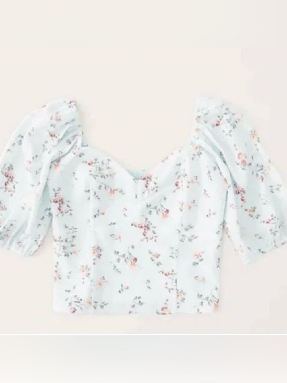 Abercrombie Corset Puff Sleeve Top Light Blue Floral